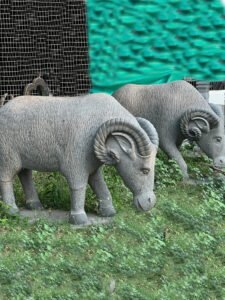 BISON STATUE
